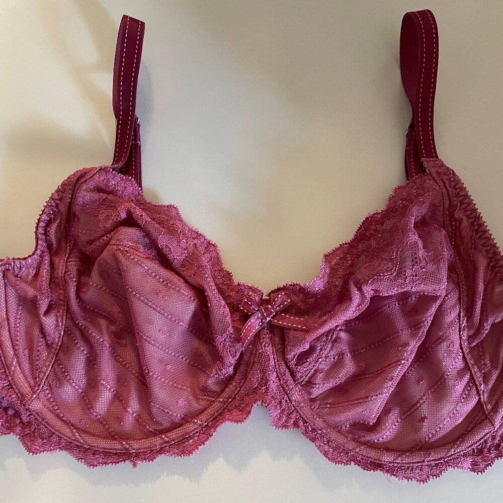 Chantelle Bra 38D Cardinal Lace Rive Gauche